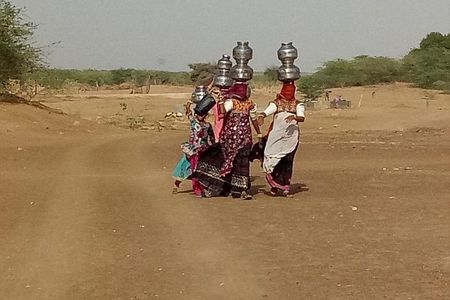 Explore Rajasthan: 12-Day Private Tour from Delhi 