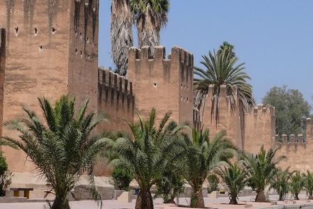 Ali Baba Oasis And The Old Medina Of Taroudant Private Day Tour 