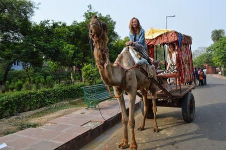 1Night & 2Days Agra & Jaipur Transportation with local guiding experience