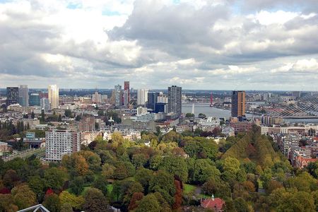 Rotterdam Like a Local: Customized Private Tour