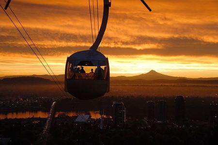 Aerial Tram and Rooftop Tour