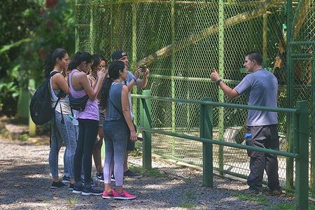 Wildlife Rescue Center Tour in Costa Rica