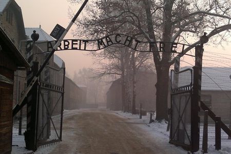 Auschwitz-Birkenau Museum Tour from Krakow