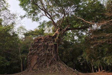 Phnom Penh to Siem Reap with Homestay at Sambor Preikuk or Vice Versa