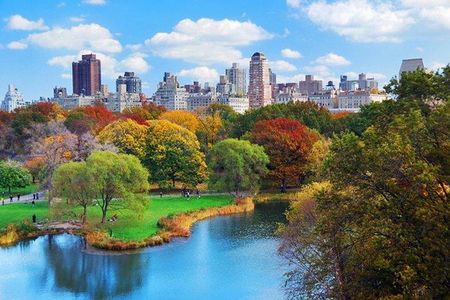 Private Walking Tour of New York City for Groups 