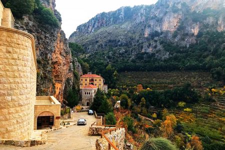 Cedars, Bsharre & Kozhaya Day Tour