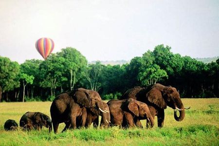 4 Days Enthralling Safaris in Kenya-lake Nakuru Masai Mara