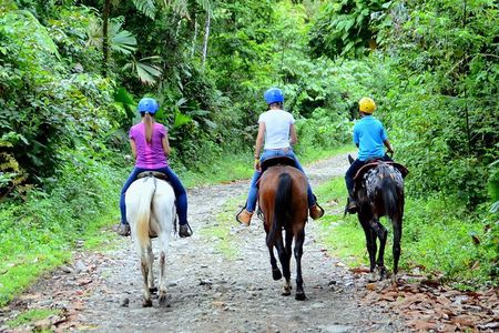 Horseback Ride to La Fortuna Waterfall