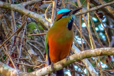 Private Birdwatching Tour