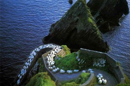 Dingle Peninsula Tour from Killarney: Including Wild Atlantic Way