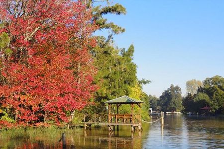Tigre Delta Sightseeing Cruise from Buenos Aires