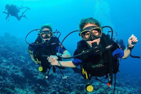 Two Dives for certified divers in Fujairah