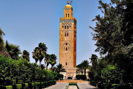 Casablanca to Marrakech Private Full-Day Trip with Camel Ride