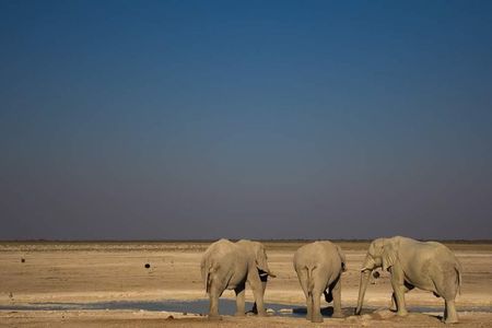 3-Day Etosha Express Accommodated Safari from Windhoek