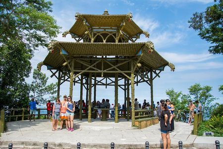 Private Tour: Tijuca National Park with a Photographer