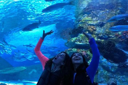 Antalya: Aquarium, Wax Museum, Snow World, Wild Park, XD Cinema
