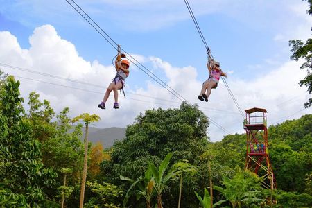 El Yunque Rainforest and Zipline Canopy Combo Tour
