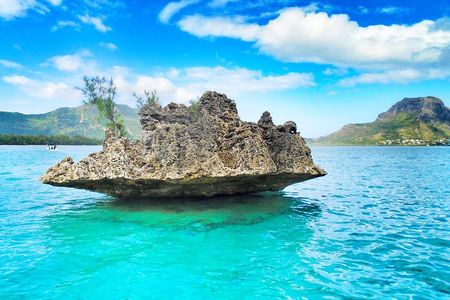 Swim with Wild Dolphins & Benitiers Island With Lunch & Transport