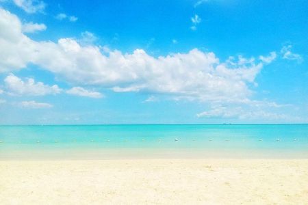 Swim With Wild Dolphins and Visit 4 Beaches in the North
