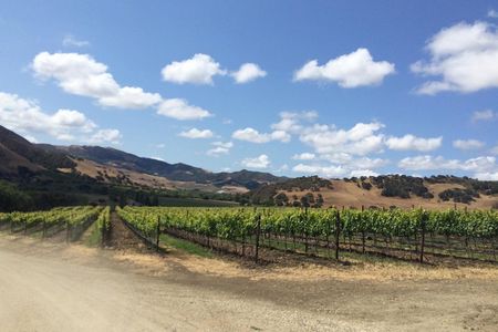 Santa Barbara Wine Lovers Tour