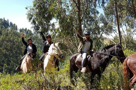 Half day Horseback Riding tour around Sacsayhuaman park