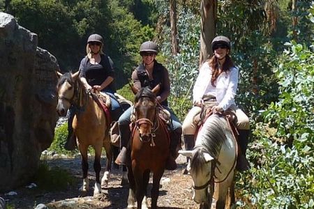Horseback Riding Plus Tour to Sacsayhuaman, Quenqo, Puka Pucara and Tambomachay
