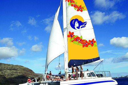Waikiki Panorama Sail: Search for Hawaiian Sea Turtles