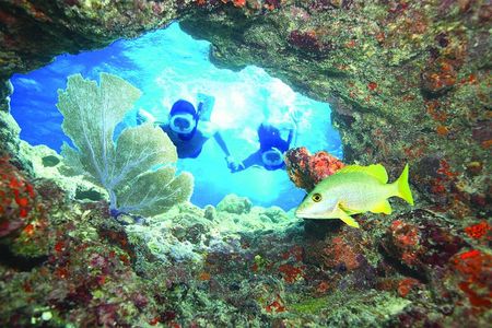 Key West Reef Snorkel – Morning Mimosas or Afternoon Margaritas