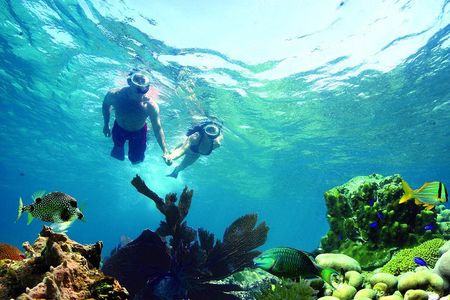 Key West Reef Snorkel – Morning Mimosas or Afternoon Margaritas