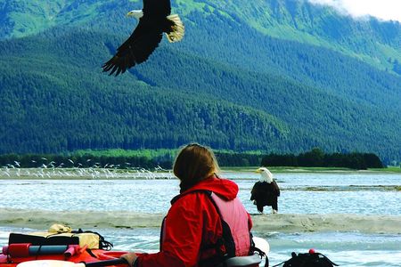 Mendenhall Glacier View Sea Kayaking