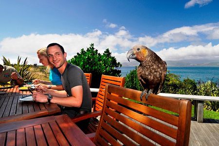 Kapiti Island Classic Guided Day Tour