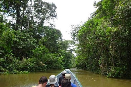 Cuyabeno 4 Day Jungle Tour