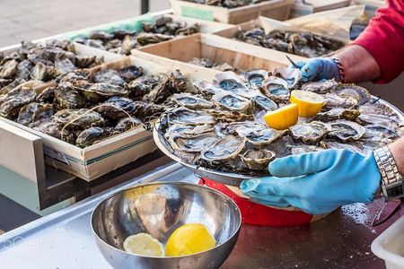 Ston Gastro Tour