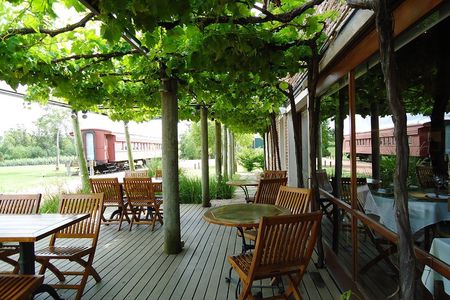 Bouza Winery only Lunch (Esp, Eng, Port)