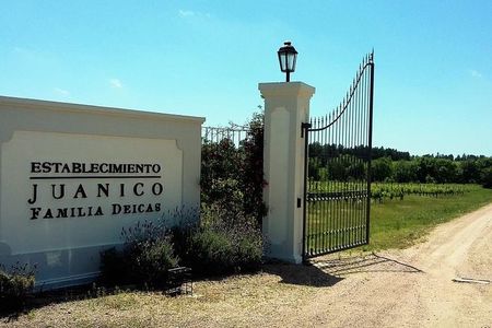 Juanico Wine Tour Lunch