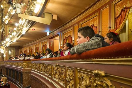 Teatro Colon Skip-the-Line plus Palaces of Buenos Aires Tour
