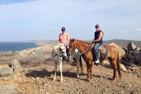 Sunset Horseback Ride in Aruba