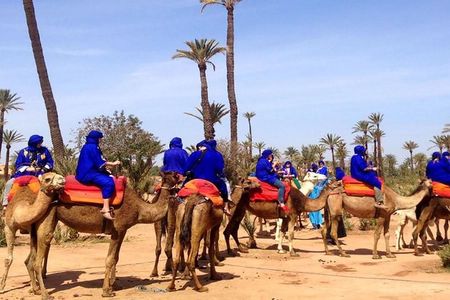Camel Ride and Quad Bike in Palmeraie