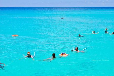 Tropical Catamaran Snorkeling, Sailing And Beach Experience