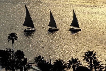 Egyptian Museum & Felucca Ride on the Nile River with Lunch