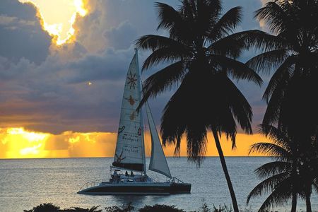 Sunset Catamaran and Snorkeling Cruise At Carlisle Bay
