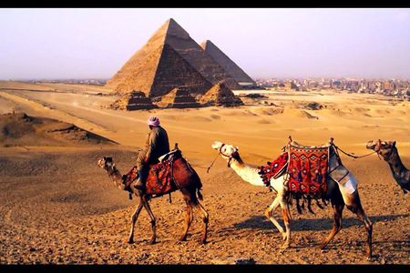 Stopover Tour of Cairo,Pyramids ,Egyptian museum,Khan El Khalili Bazzar