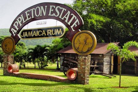 Private Appleton Estate Rum Tour & Tasting from Montego Bay
