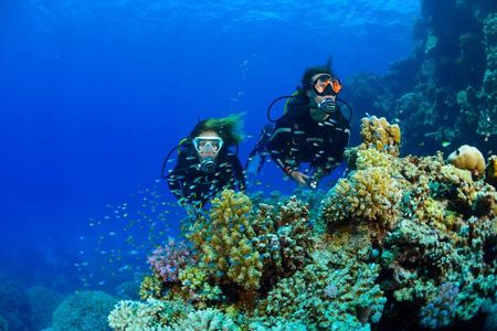 Full-Day Beginner Scuba Course with Private Tuition, Racha Yai