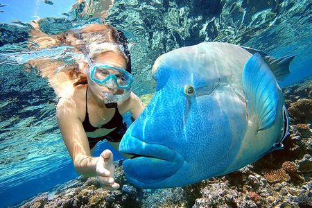 Punta Cana Combo Tour: Snorkeling, Catamaran Cruise & Parasailing