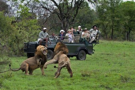 Cape Town South Africa, 2 Days Overnight Safari Tour Game Reserve 