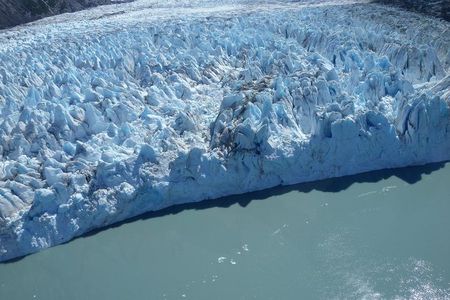Glacier & Wildlife Discovery Tour