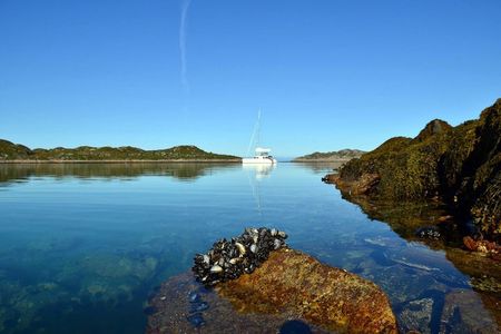 Two-Day Sailing to Beautiful Risoy from Tromso