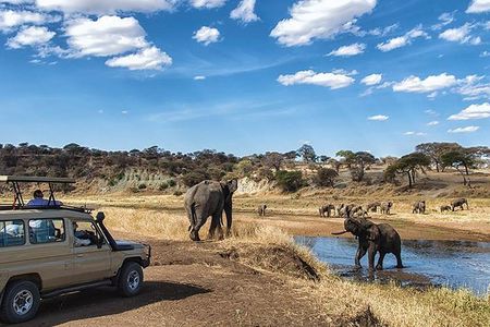 6-Day Best of Tanzania Lake Manyara, Serengeti, Ngorongoro & Tarangire - Comfort