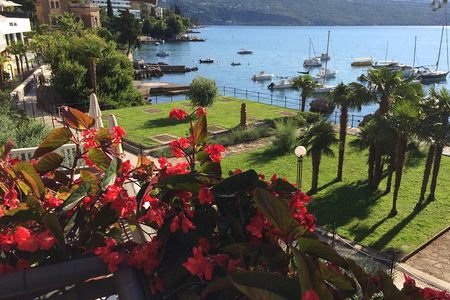 Truffle Istria Private Guided Day Trip from Zagreb